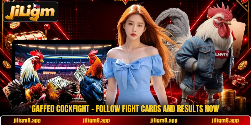 Gaffed Cockfight - Follow Fight Cards And Results Now