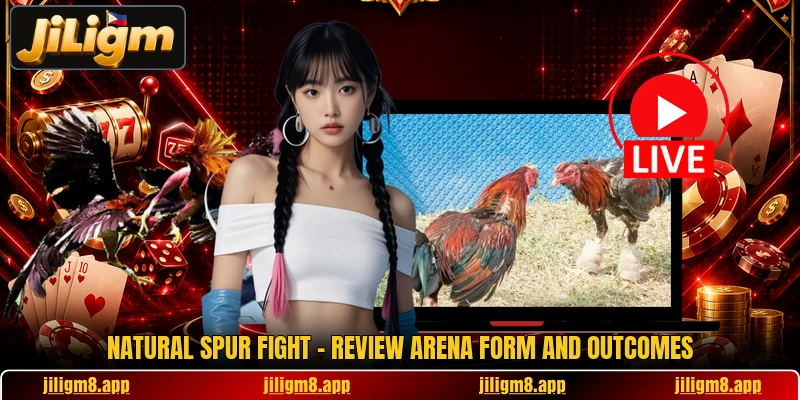 Natural Spur Fight - Review Arena Form And Outcomes